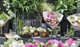 花店吃瓜视频爆料,行业秘密大曝光！