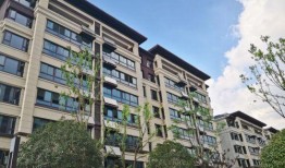 文一桃李春风最新爆料,揭秘幕后故事与精彩瞬间