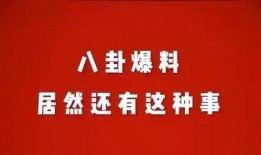 娱乐八怪爆料小说免费阅读,小说免费阅读背后的秘密大公开